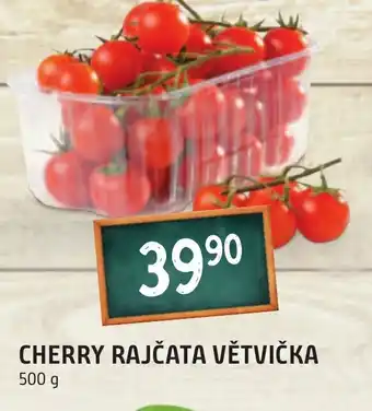 Terno CHERRY RAJČATA VĚTVIČKA nabídka