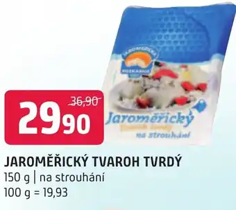 Terno JAROMĚŘICKÝ TVAROH TVRDÝ nabídka