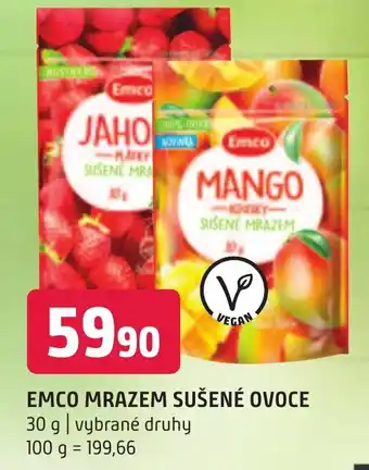 Terno EMCO MRAZEM SUŠENÉ OVOCE nabídka