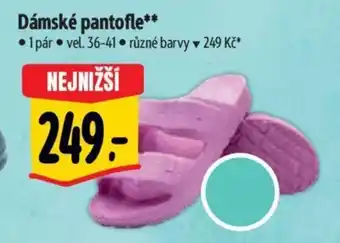 Albert Dámské pantofle nabídka