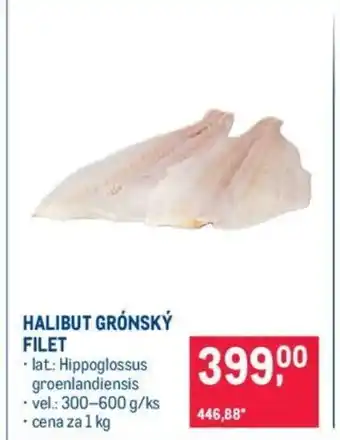 Makro HALIBUT GRÓNSKÝ FILET nabídka