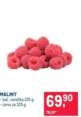 Makro MALINY nabídka