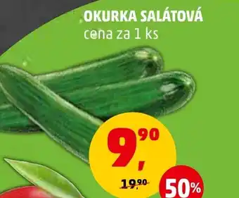 Penny Market OKURKA SALÁTOVÁ nabídka