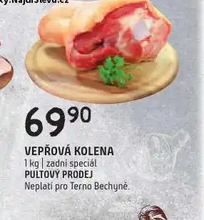 Terno Vepřové koleno zadní nabídka