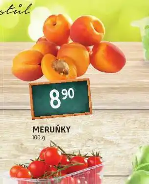Terno Meruňky nabídka