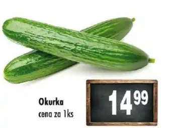 Qanto Okurka nabídka