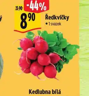 Albert Ředkvičky nabídka