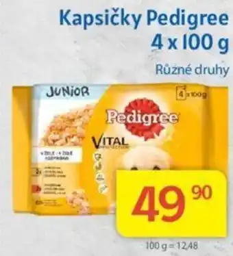 Kubík potraviny Kapsičky Pedigree 4 x 100 g nabídka