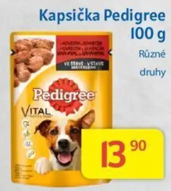 Kubík potraviny Kapsička Pedigree 100 g nabídka