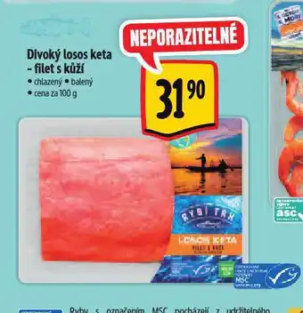 Albert Divoký losos keta - filet s kůží nabídka