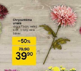Tesco Chryzantéma umělá nabídka