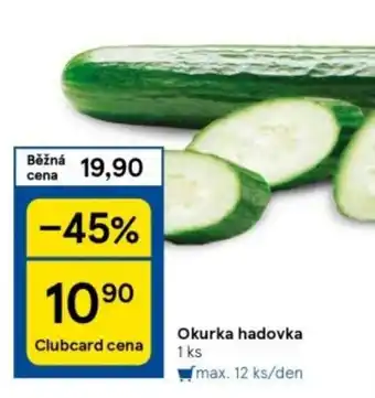 Tesco Okurka hadovka nabídka