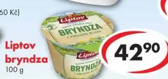 CBA Liptov bryndza nabídka