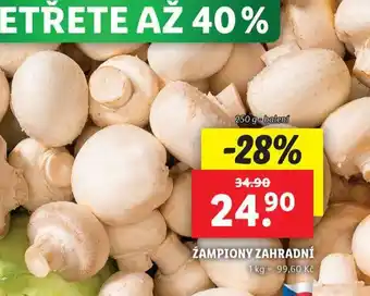 Žampiony zahradní