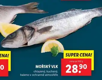 Lidl Mořský vlk nabídka