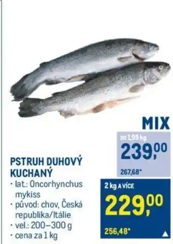 Makro PSTRUH DUHOVÝ KUCHANỲ nabídka