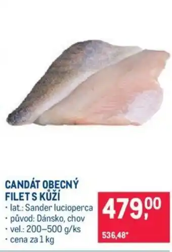 Makro CANDÁT OBECNÝ FILETS KŮŽÍ nabídka