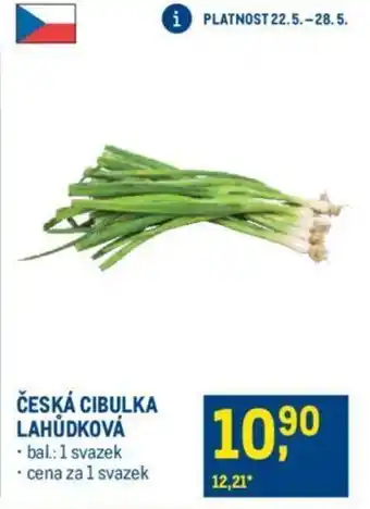 Makro ČESKÁ CIBULKA LAHŮDKOVÁ nabídka