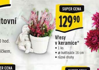 Vřes v keramice