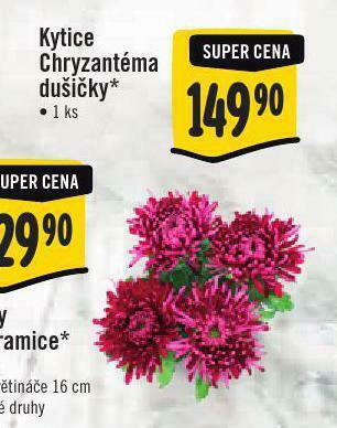 Kytice chryzantém dušičky