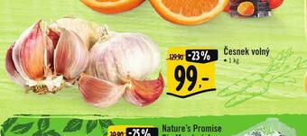 Albert Česnek volný nabídka