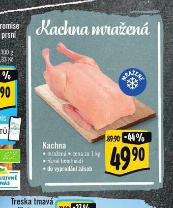 Albert Kachna mražená nabídka
