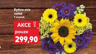 Kaufland Kytice mix velká nabídka