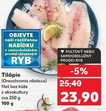 Kaufland Tilápie nabídka