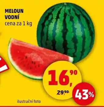 Penny Market MELOUN VODNÍ nabídka