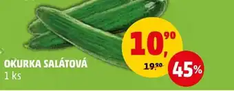 Penny Market OKURKA SALÁTOVÁ nabídka