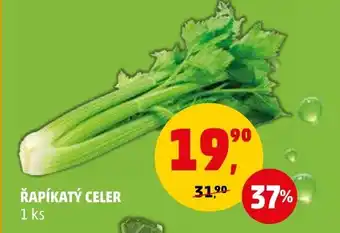 Penny Market ŘAPÍKATÝ CELER nabídka
