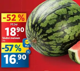 Lidl Vodní meloun nabídka