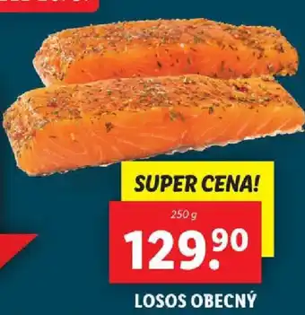 Lidl LOSOS OBECNÝ nabídka