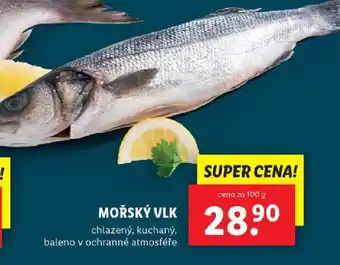 Lidl MOŘSKÝ VLK nabídka