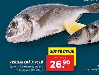 Lidl PRAŽMA KRÁLOVSKÁ nabídka