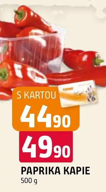 Terno PAPRIKA KAPIE nabídka