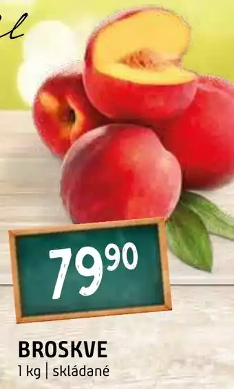 Terno BROSKVE nabídka