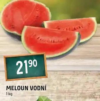 Terno MELOUN VODNÍ nabídka