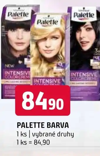 Terno PALETTE BARVA nabídka