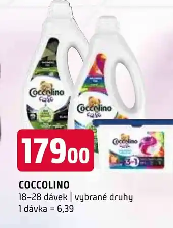 Terno COCCOLINO nabídka