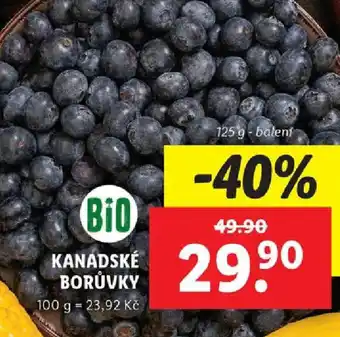 Lidl KANADSKÉ BORŮVKY nabídka