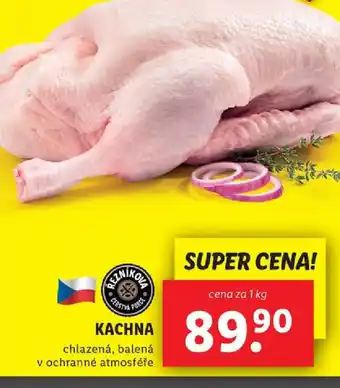 Lidl KACHNA nabídka