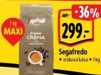 Albert Segafredo nabídka
