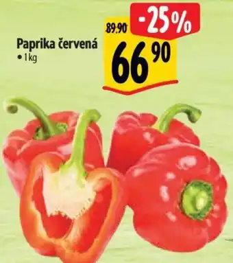 Albert Paprika červená nabídka