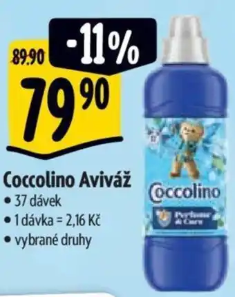 Albert Coccolino Aviváž nabídka
