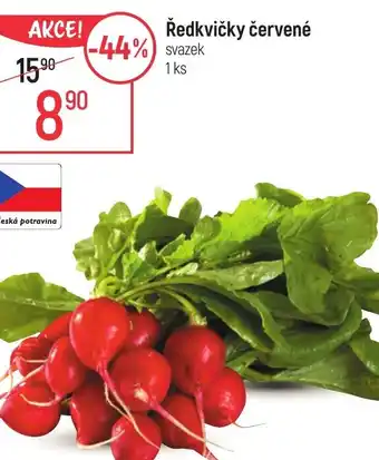 Globus Ředkvičky červené nabídka
