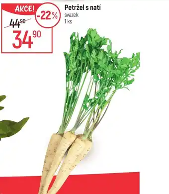 Globus Petržel s natí nabídka