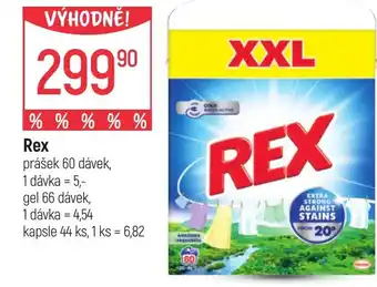 Globus Rex nabídka