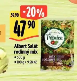 Albert Salát rodinný mix nabídka