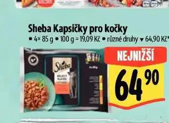 Albert Sheba kapsičky pro kočky nabídka